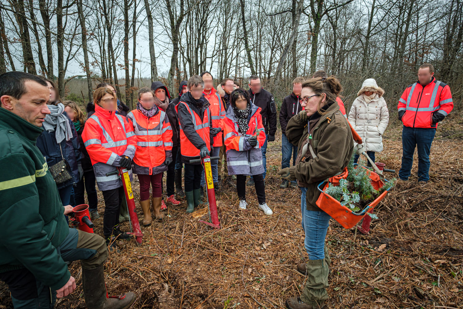 Plantations d'arbres - Séminaire durable en Bretagne